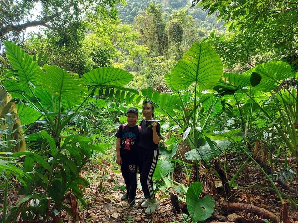 Trekking vườn Quốc Gia Cát Bà: Những bạn trẻ chưa bao giờ là kém nhiệt!