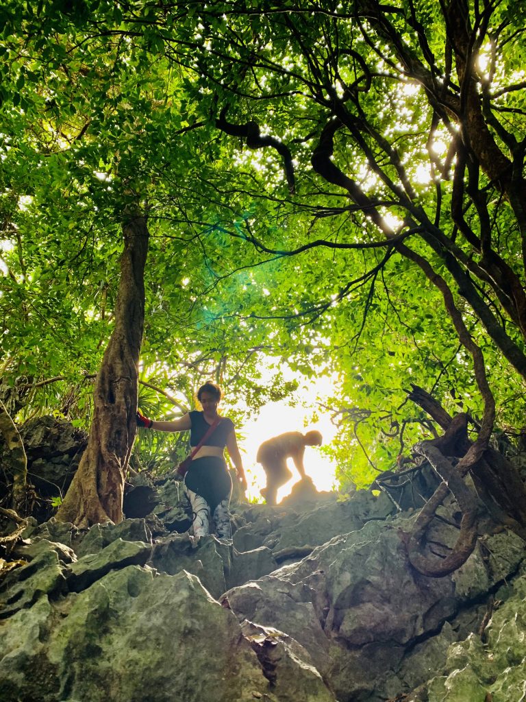 Cat Ba Natonal park 